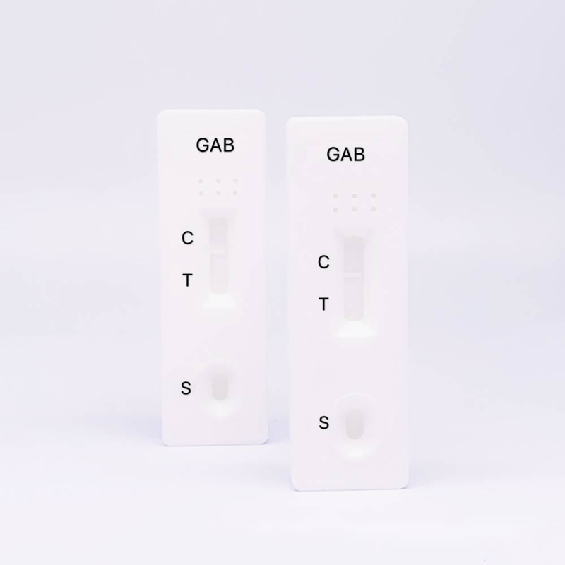 2000ng/ML Gabapentin GAB Drug Abuse Test Kit One Step Rapid Test High Accurate